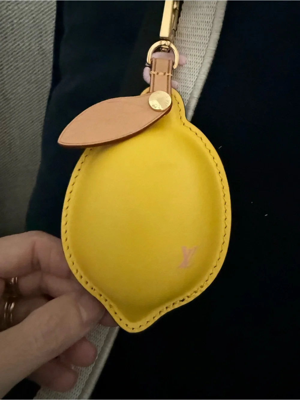 Louis Vuitton lv epi